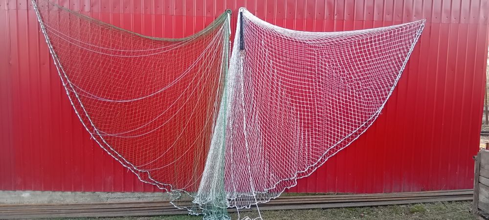 Prostovol cu ochiul mic