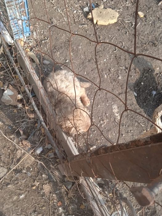 Всем привет . Срочно отдам.