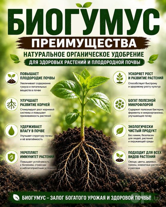 Биогумус для рассады овощей цветов деревьев и комнатных растений