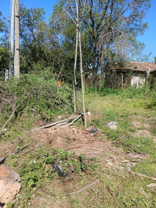 Косене на трева.Почистване на дворни места от храсти,дървета