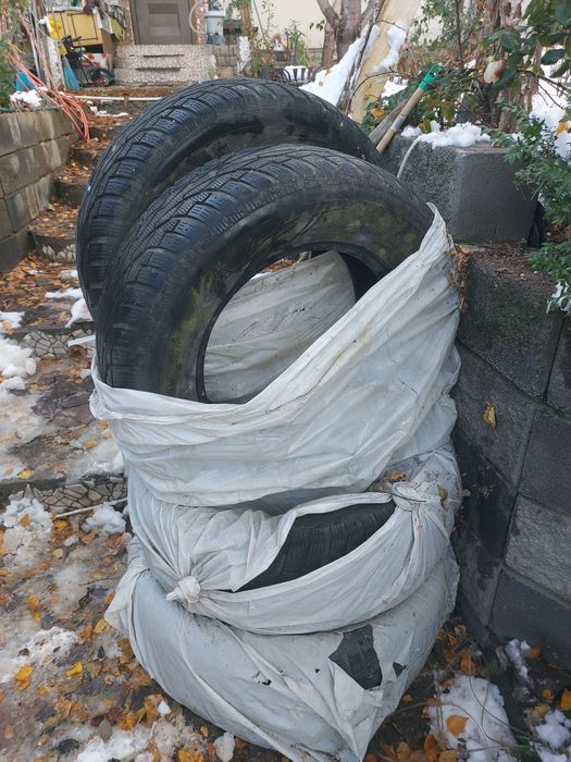 Зимние шины  за комплект 30 000