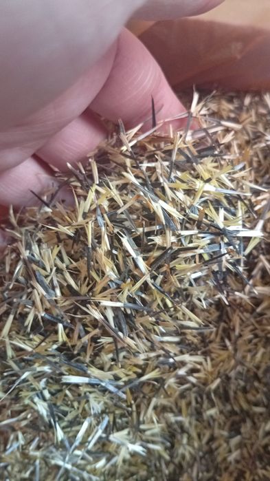 Семена Бархатцы чищенные