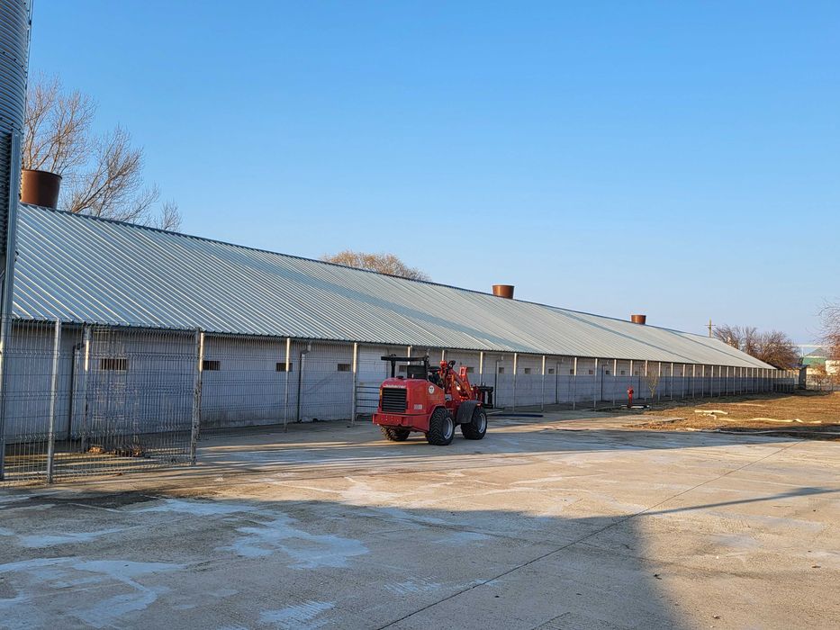 Fermă de reproducție porci