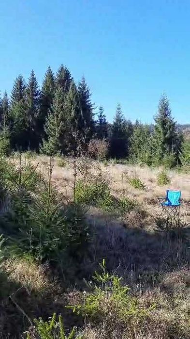 Teren intravilan superb, 1477 mp, intrare Vatra Dornei din Dorna Arini, panorama Rarau si Giumalau - Vedere 4