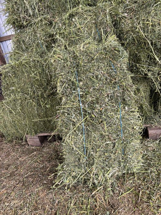 Vand baloti de lucerna mici si rotunzi