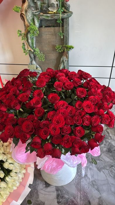 Гүл шоқтары арзан бағада