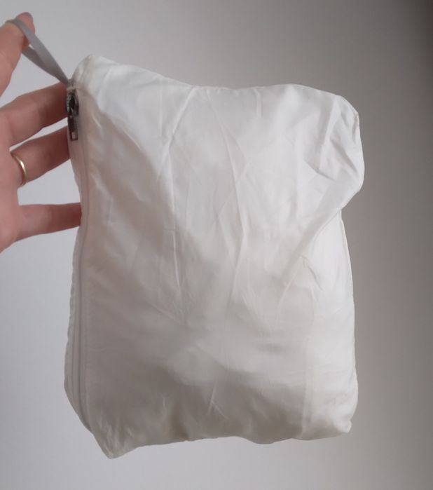 Vesta alba Patagonia