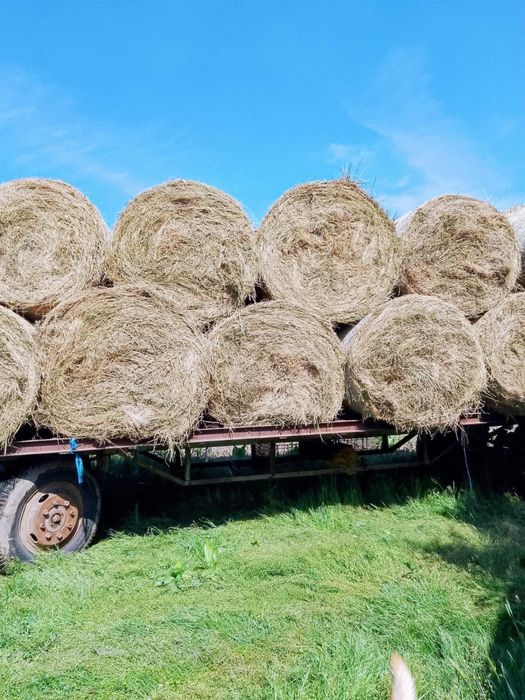Vând baloți de fân rotunzi
