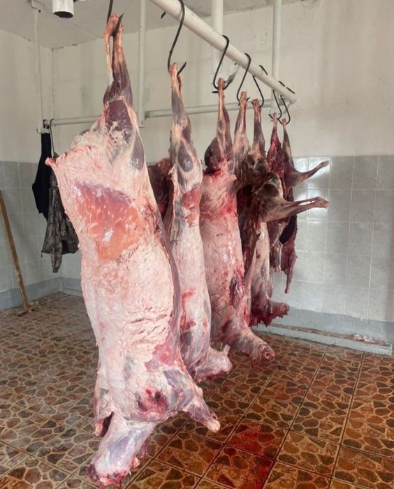 Коза, ешкі тушасы сатылады