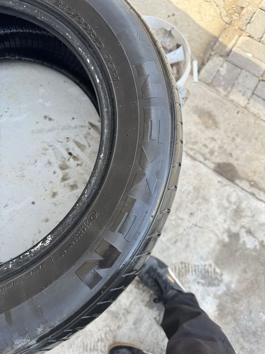 Шина летняя NEXEN