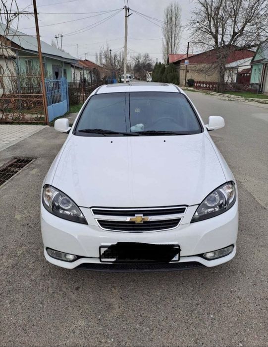 lasetti jentra lacerti