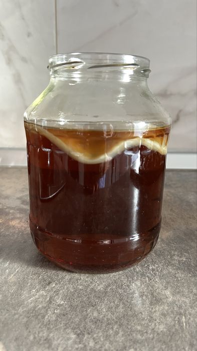 Kit Strater Kombucha: ciuperca SCOBY + ceai fermentat