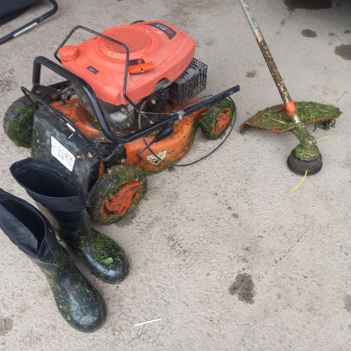 Покос травы. Разнотравие. Газон.