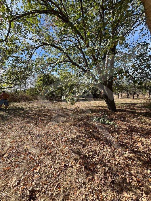 Продава се Къща в с. Кръстевич, Област Пловдив - 210 кв.м за 272 €/кв.м - Снимка #4