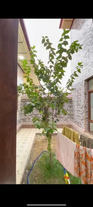 Bektemirda uy sotiladi