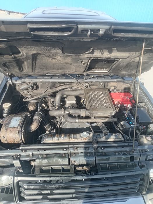 Продам поджерика