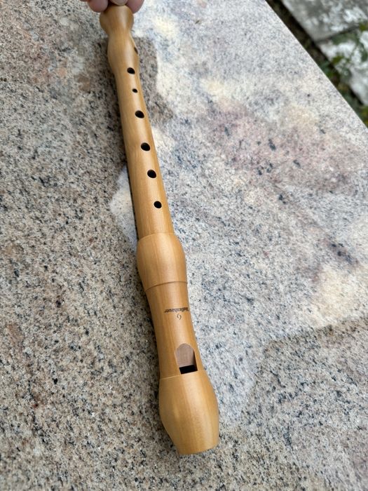 Fluier Mollenhauer 1003 Student - pachet