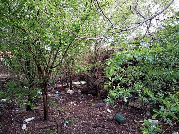 Defrișări terenuri și recondiționare curți