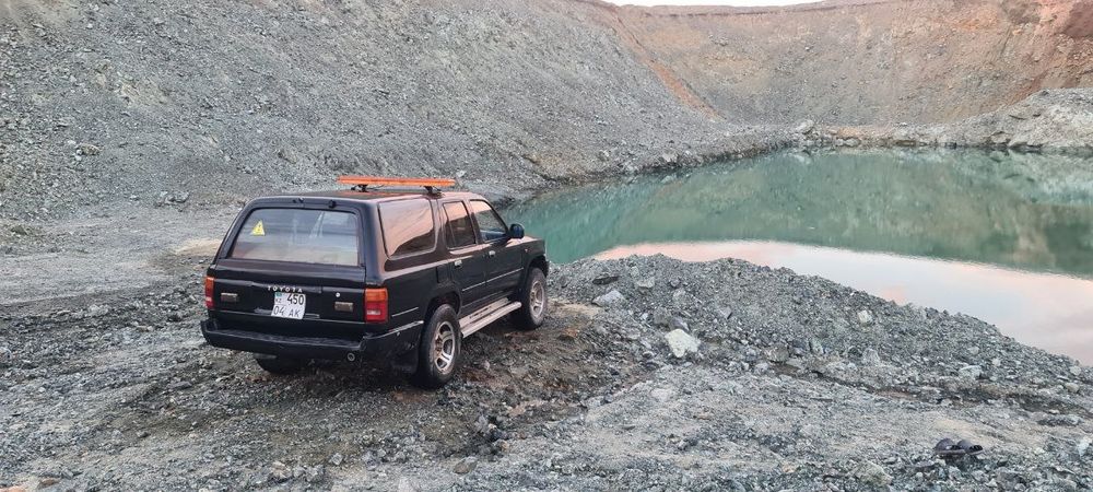 Обмен на лошадей