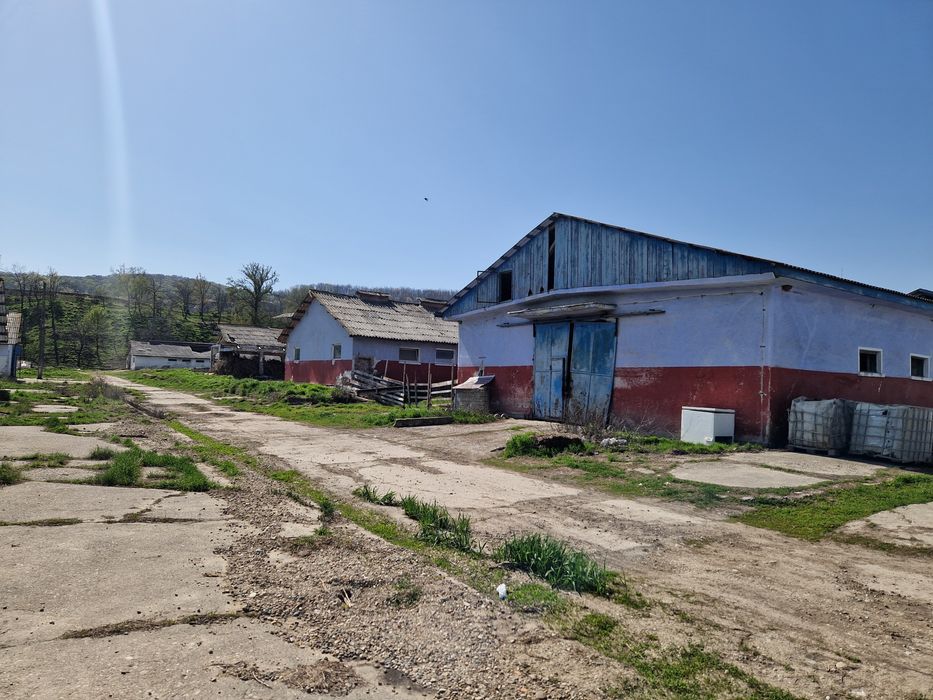 Vand teren intravilan 44113 mp la E85 - langa Bacau