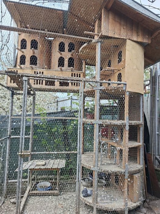 Voliera pasari de vanzare