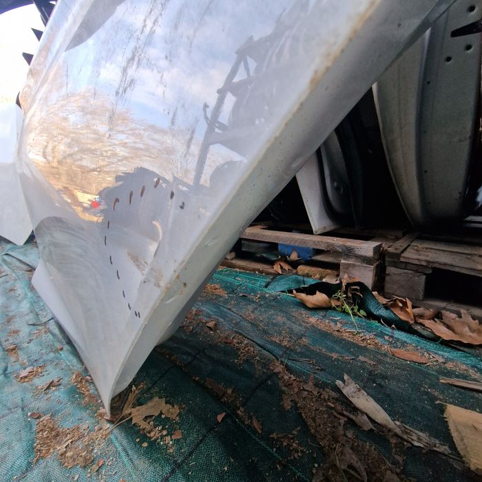 Ford Fiesta 2019 MK8 задна лява врата