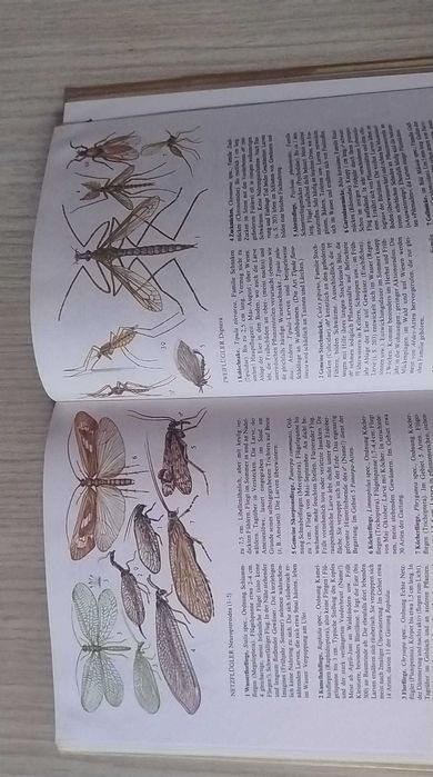 Plante și animale. Un ghid al naturii - ediția germană (DDR)