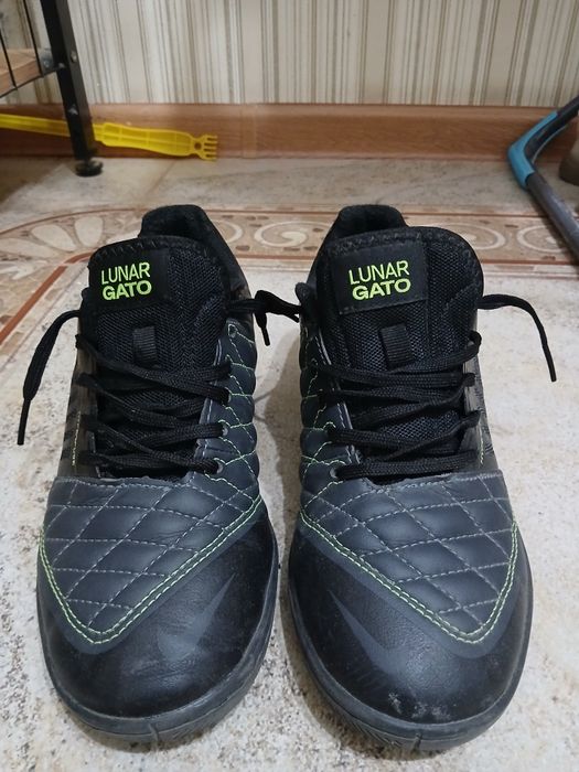 Lunar gato заложник