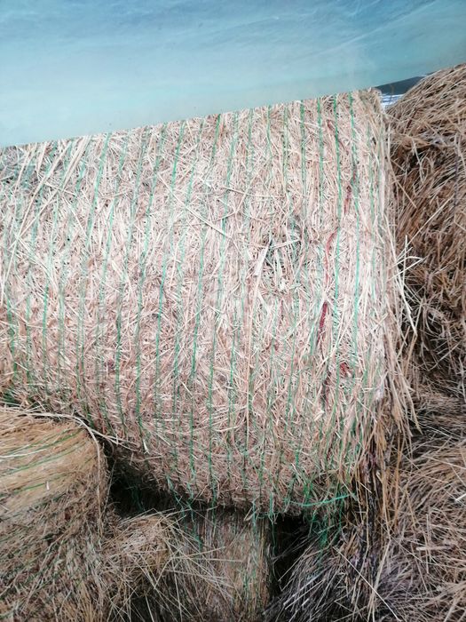 Baloti de lucernă si Fân