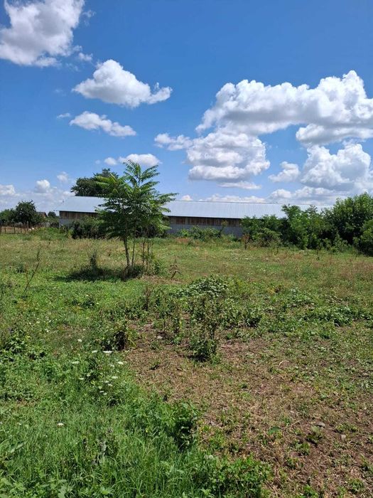 Casa de vanzare si teren Caracal, Jud Olt