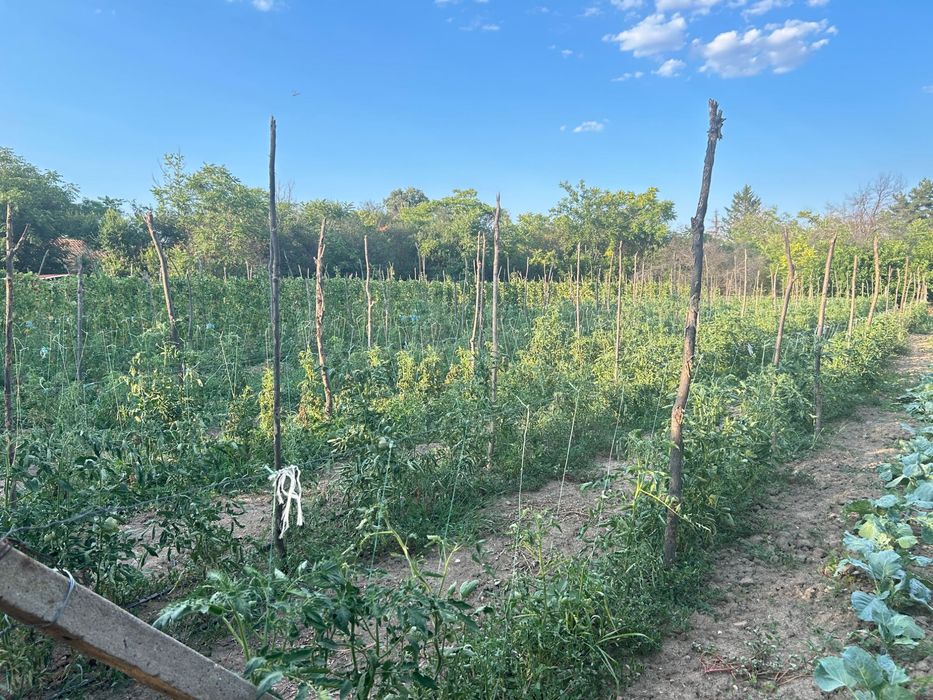 Продава се Къща в с. Гранит, Област Стара Загора - 120 кв.м за 500 €/кв.м - Снимка #4