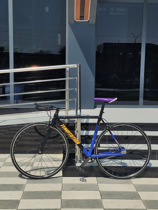 Temptation Fixed Gear