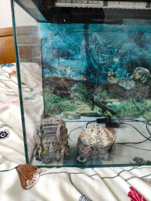 Acvariu 80L + accesorii