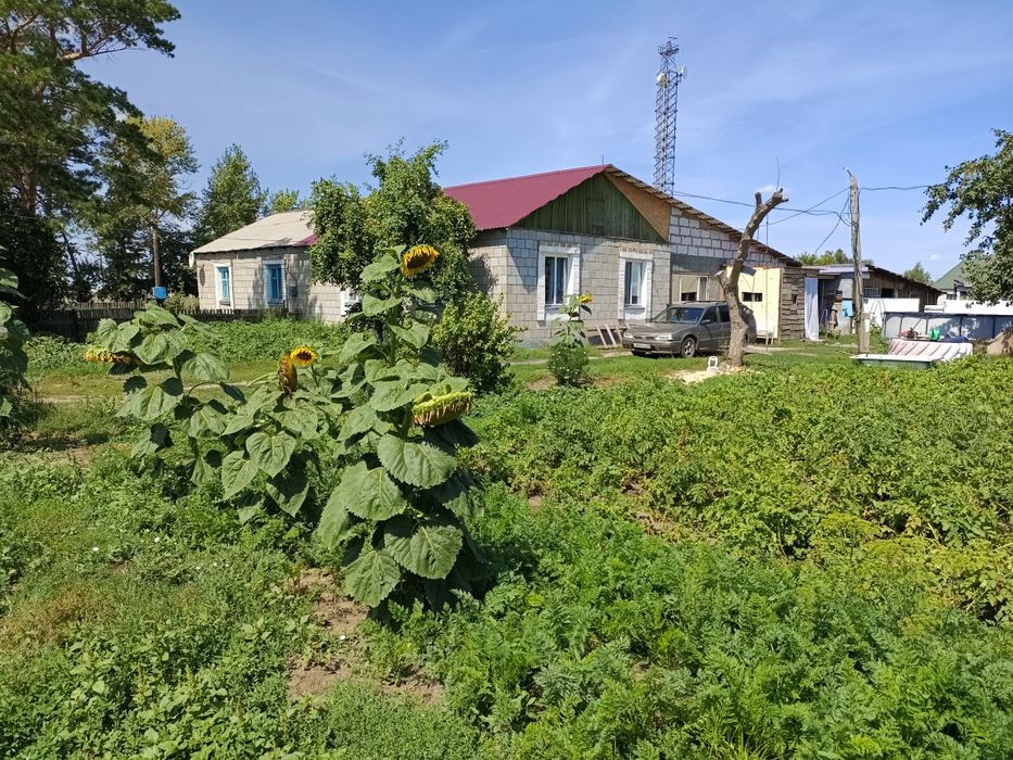 Продам дом  в селе Первомайка