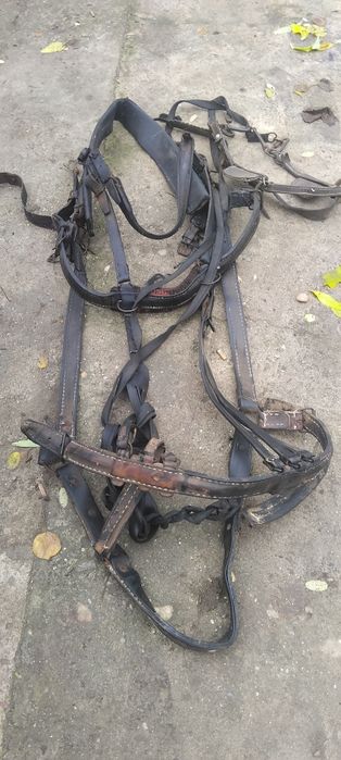 De vânzare,,ham pentru cal,,