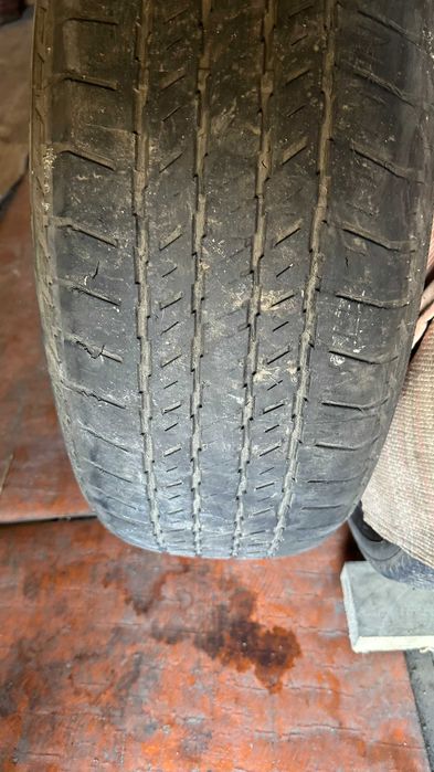 Летние шины Bridgestone