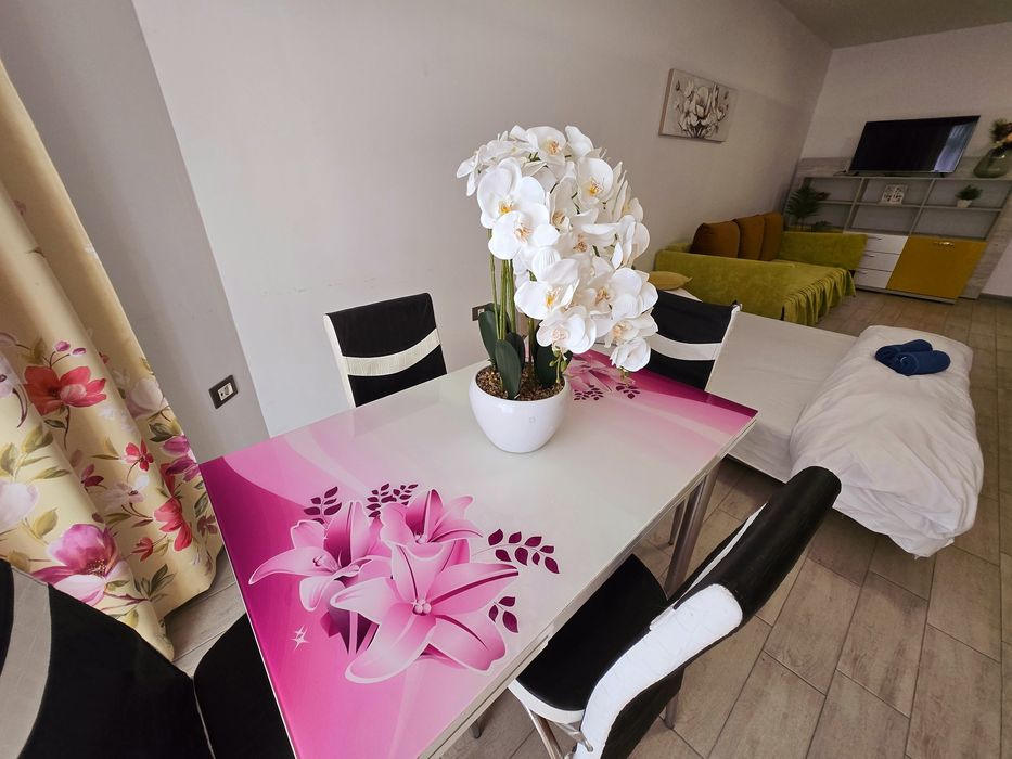 Cazare Apartament Garsoniera de Inchiriat Regim Hotelier OferimFactura