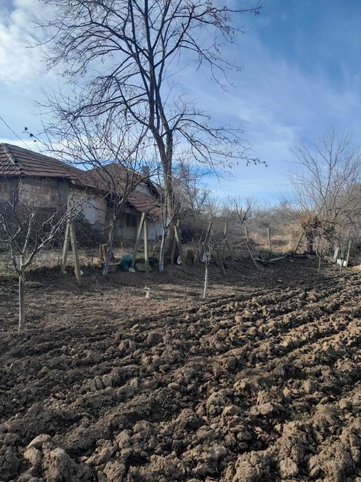 Продава се Парцел в с. Калипетрово, Област Силистра - 2225 кв.м за 4 €/кв.м - Снимка #3