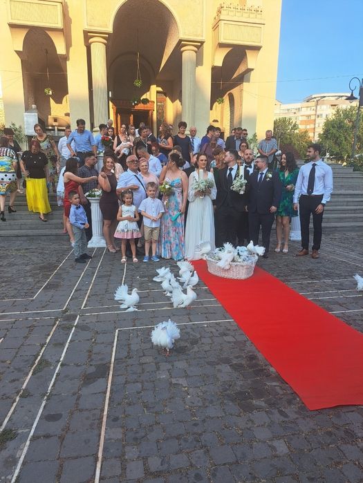 Porumbei albi, nuntă , decor biserică