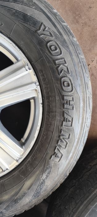 Продается Ризина с диском