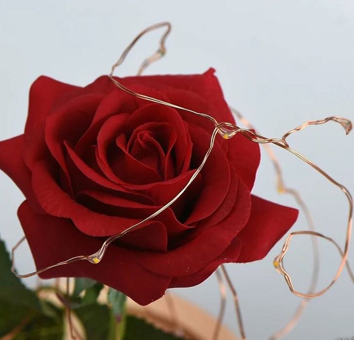 Светеща вечна роза в стъкленица