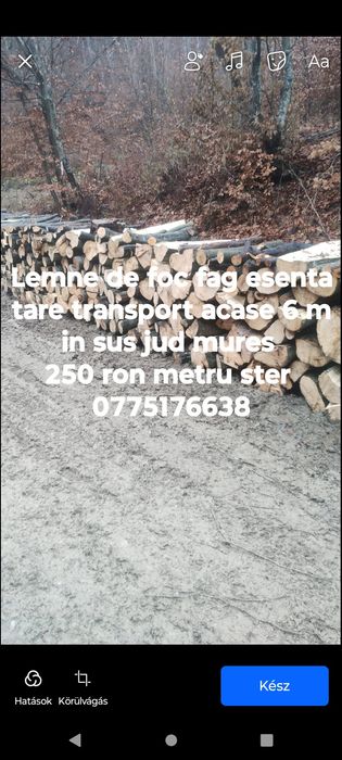 Vand lemne de foc fag