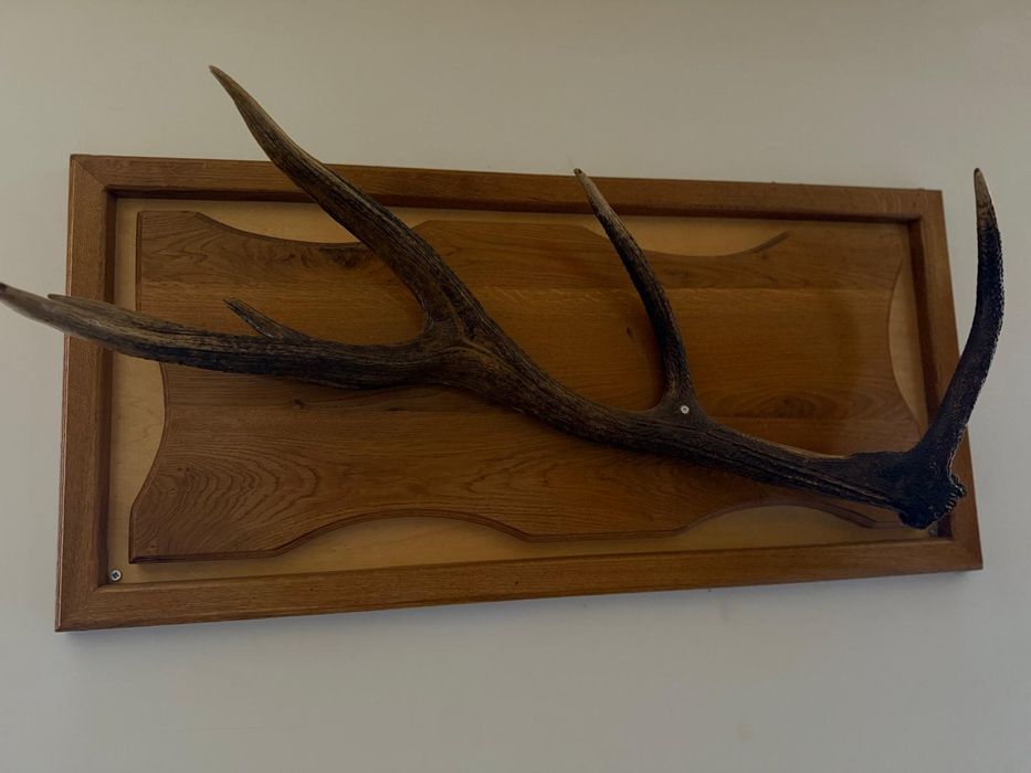 Tablou ideal pentru pensiuni