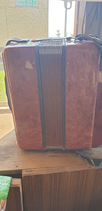 Гормошка "Чайка"