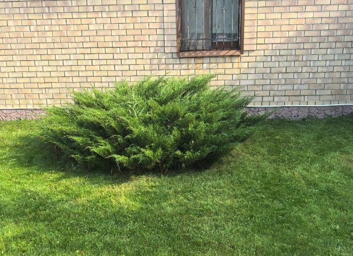 Все хозяйственные работы, огород, сад, дача