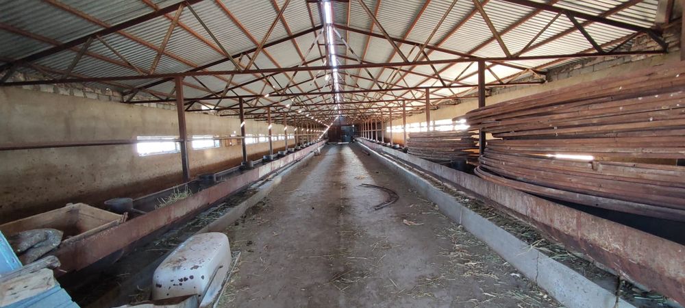 Фазенда с земельнцм участком