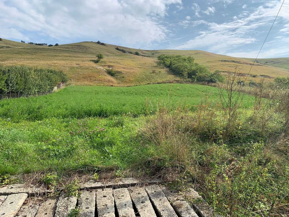Teren intravilan de vanzare, zona Moristi, Apahida