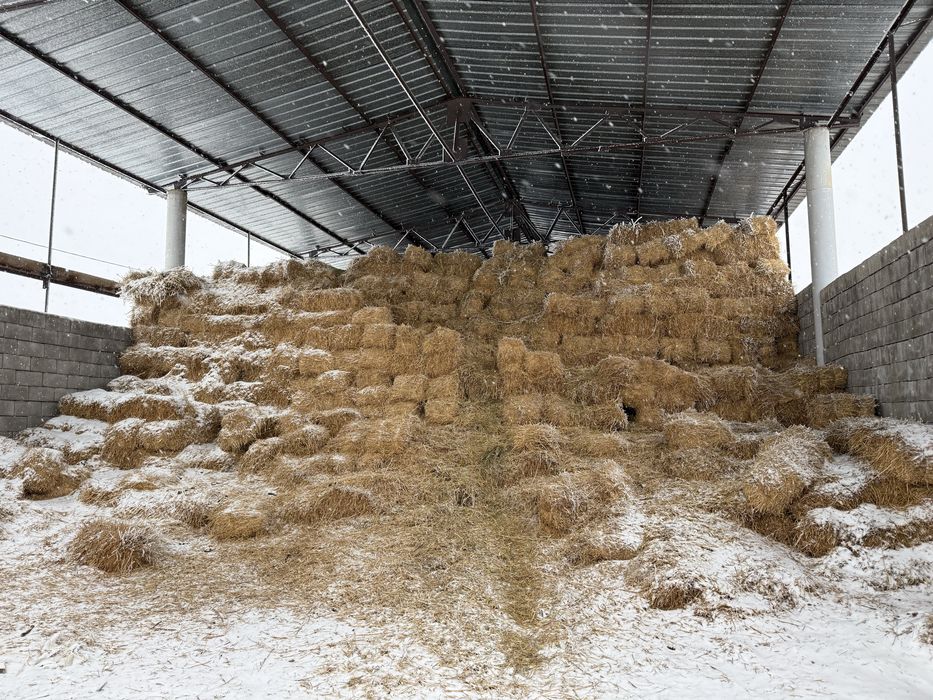 Арпа сабан, тюк, жонышка