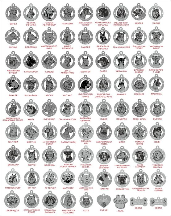 Медальони за животни