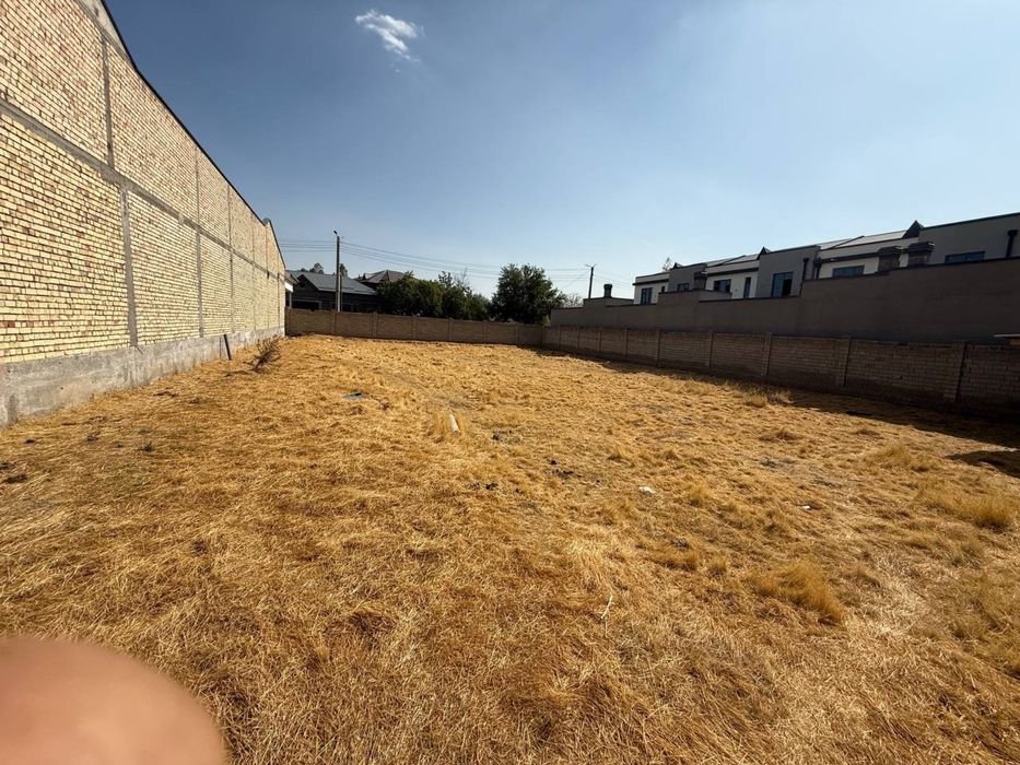 Tayor quruq yer Tuzelda